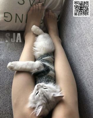 锦衣之下免费全集在线看