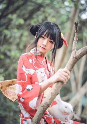 妻子的资格 电视剧