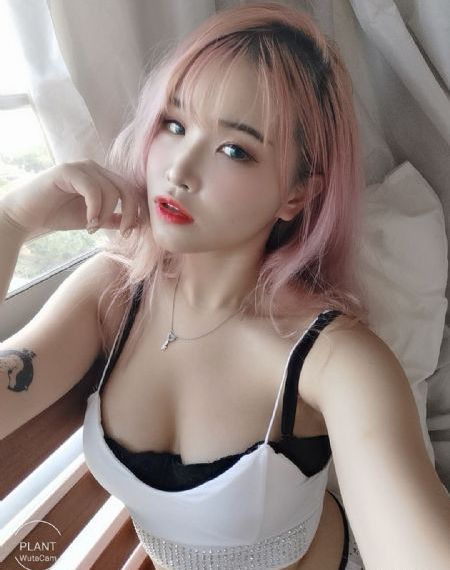 少年歌行全集免费观看