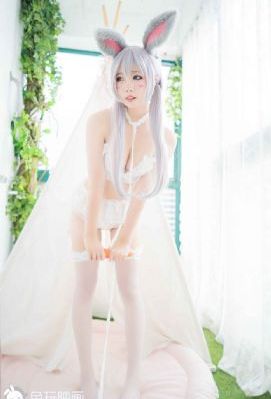 日韩免费一级毛片