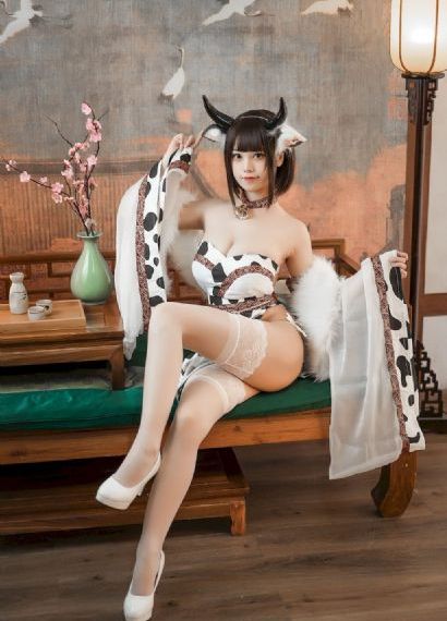 双探 电视剧