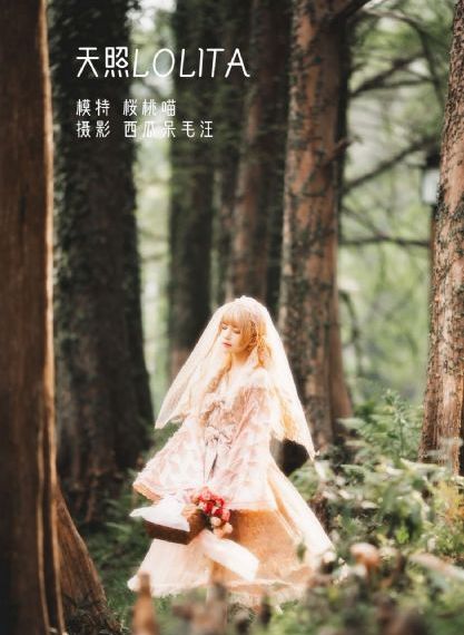 小夫妻电视剧全集免费